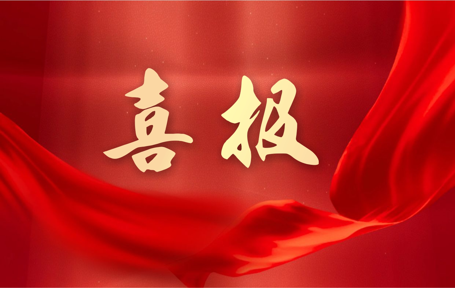 營收凈利雙增長！依頓電子2025年一季度經(jīng)營業(yè)績續(xù)寫高質(zhì)量發(fā)展華章